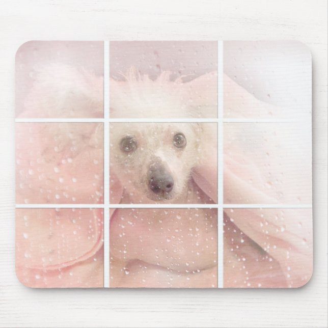 Hairless Dog in window Mouse Pad (Front)