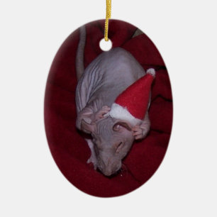Hairless Pet Rat Lydia Ornament