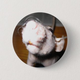 Hairless Rat Love Pinback Button