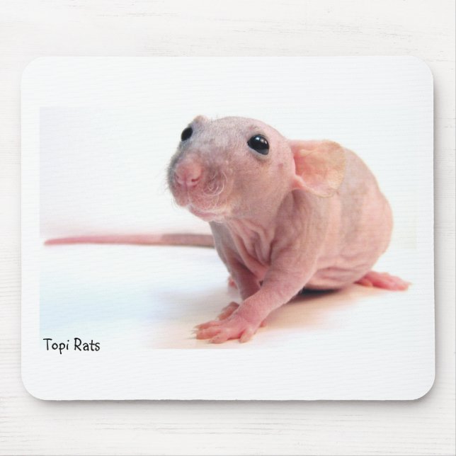 Hairless Rat Mouse Pad (Front)