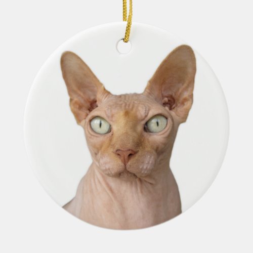 Hairless Sphynx Cat Ceramic Ornament