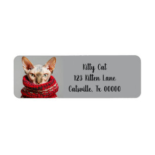 Hairless Sphynx Cat in a Sweater Return Address Label