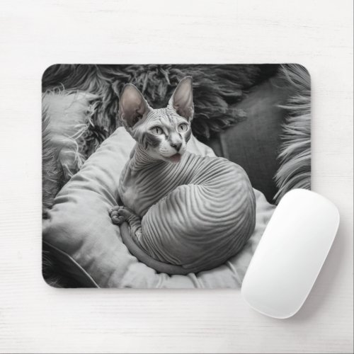 Hairless Sphynx Cat Mouse Pad