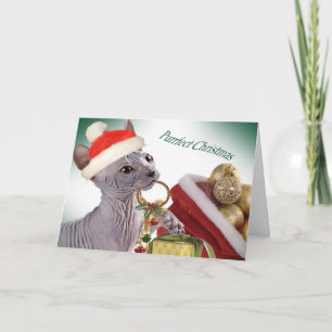 Hairless Sphynx Christmas cards