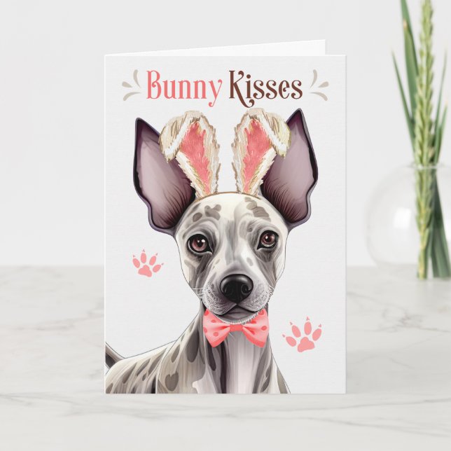 Hairless Terrier Dog in Bunny Ears for Easter Holiday Card (Front)