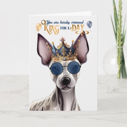 Hairless Terrier Dog King for a Day Funny Birthday Card