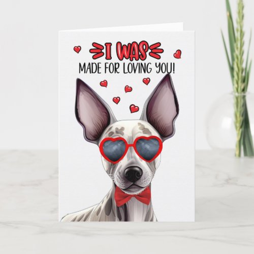 Hairless Terrier Dog Made for Love Valentine Holiday Card