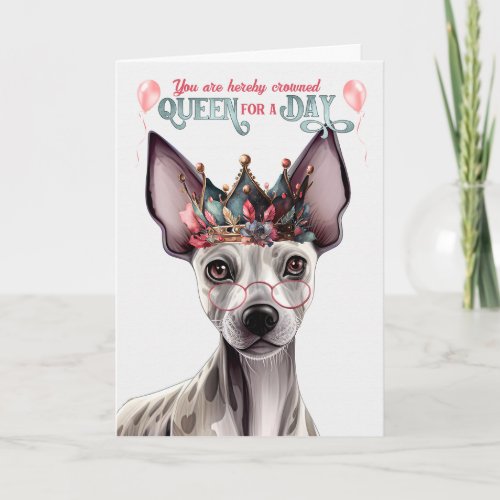 Hairless Terrier Queen for a Day Funny Birthday Card