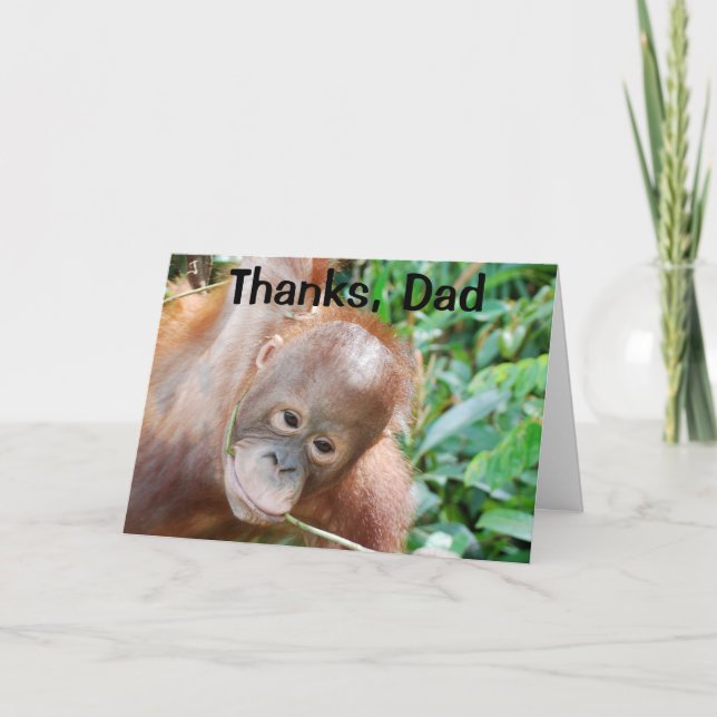 Hairline and Baldness Humor For Father From Son Thank You Card (Front)