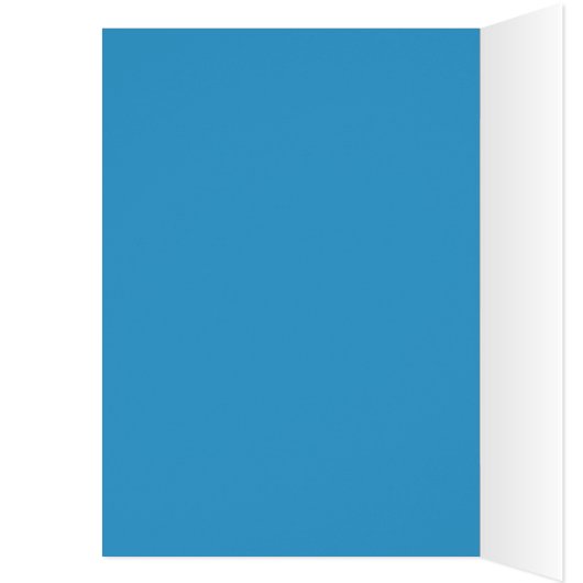 Hairstyles tools (Inside (Left))