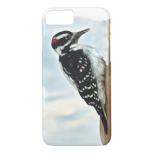 Hairy Woodpecker Bird iPhone 8/7 Case (Back)