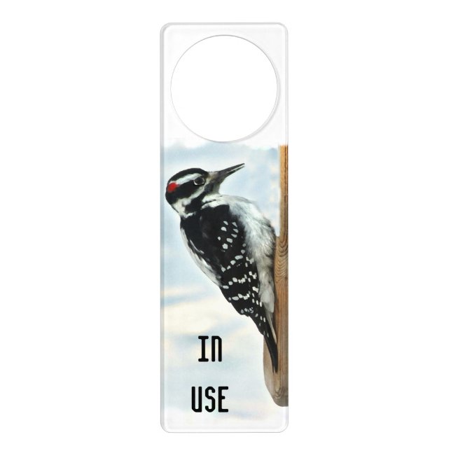 Hairy Woodpecker Door Hanger (Front)