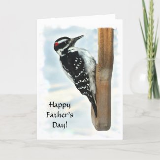 Hairy Woodpecker Fathers Day Card
