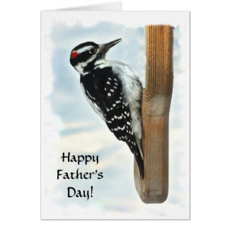 Hairy Woodpecker Fathers Day Card
