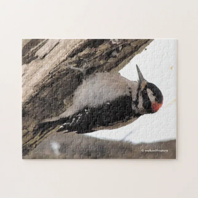 Hairy Woodpecker Working the Wood Jigsaw Puzzle Zazzle