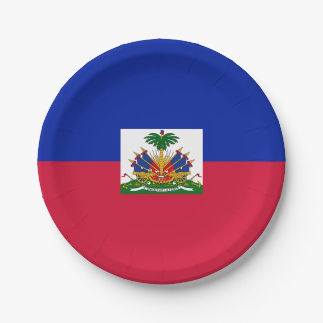 Haiti Flag Paper Plates (Front)