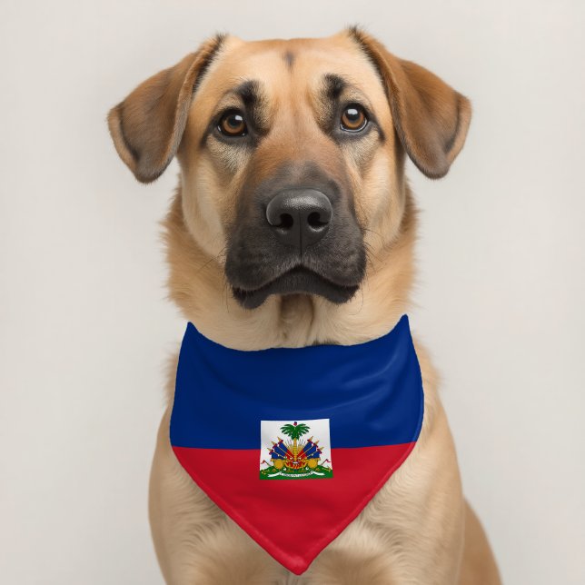 Haiti flag pet bandana collar (Dog 2)