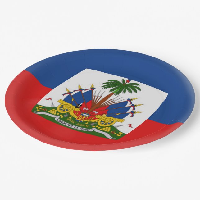 Haiti Haitian Flag Paper Plates (Angled)