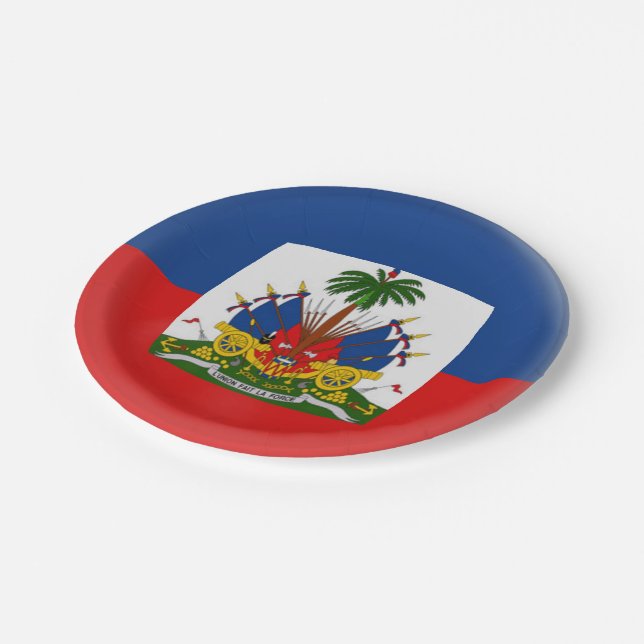 Haiti Haitian Flag Paper Plates (Angled)