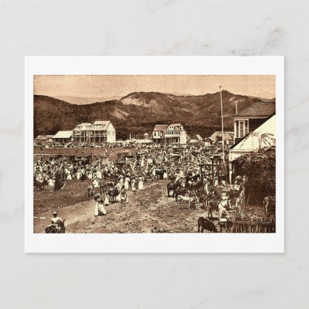 Haiti, Port Au Prince Market Vintage Postcard