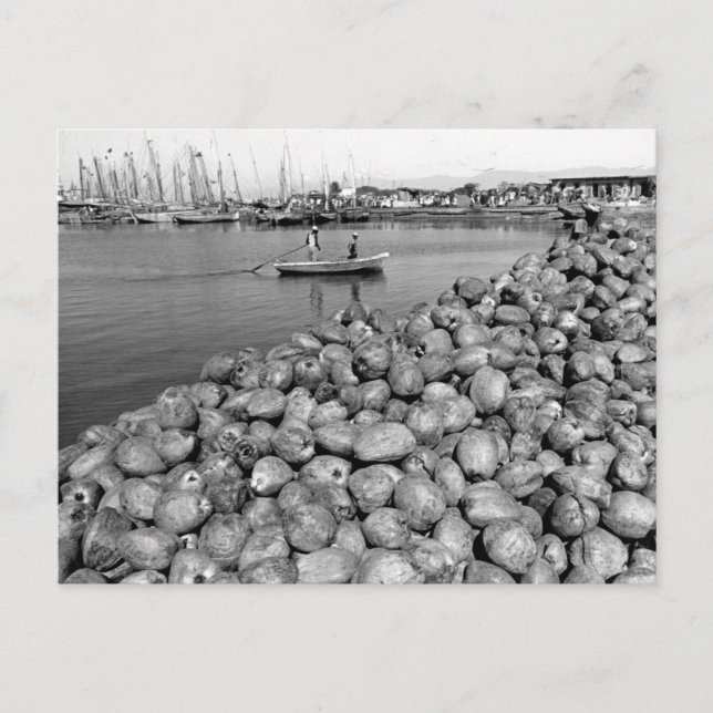 Haiti Port Au Prince Postcard (Front)