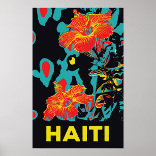 Haiti typical caribbean hibiscus poster