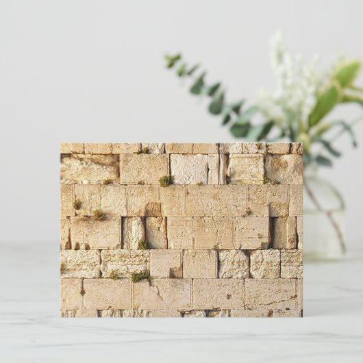 HaKotel - The Western Wall (Standing Front)