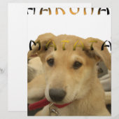 Hakuna Matata I know what you are thinking pinctur (Front/Back)