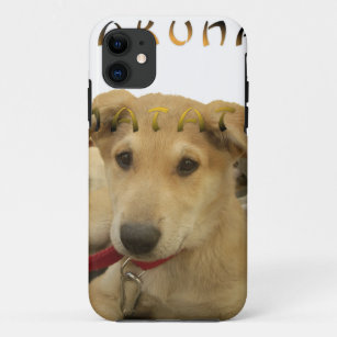 Hakuna Matata I know what you are thinking pinctur iPhone 11 Case