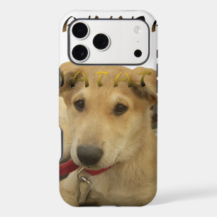 Hakuna Matata I know what you are thinking pinctur iPhone 17 Pro Max Case