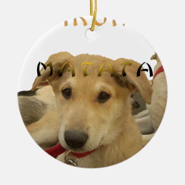 Hakuna Matata I know what you are thinking pinctur Ceramic Ornament (Front)