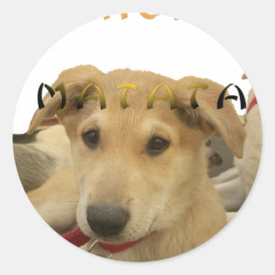 Hakuna Matata I know what you are thinking pinctur Classic Round Sticker