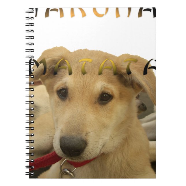 Hakuna Matata I know what you are thinking pinctur Notebook (Front)