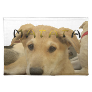 Hakuna Matata I know what you are thinking pinctur Placemat