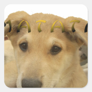 Hakuna Matata I know what you are thinking pinctur Square Sticker