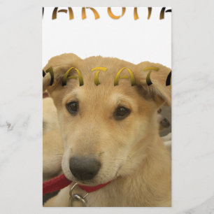 Hakuna Matata I know what you are thinking pinctur Stationery