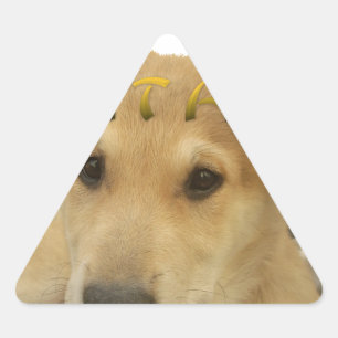 Hakuna Matata I know what you are thinking pinctur Triangle Sticker