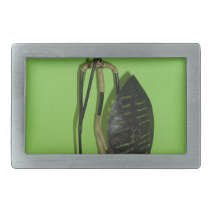 Hakuna Matata Kenya Maasai.JPG Rectangular Belt Buckle