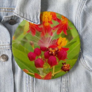 Hakuna Matata lovely green red yellow Flower Buds. Pinback Button