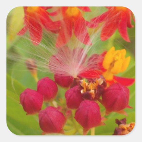 Hakuna Matata lovely green red yellow Flower Buds Square Sticker