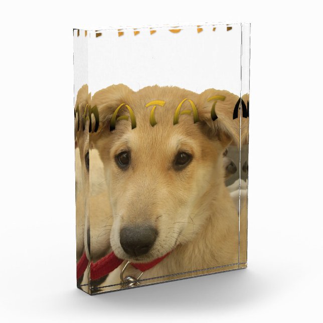 "Hakuna Matata Pup" – Worry-Free Puppy Love Acrylic Award (Left)