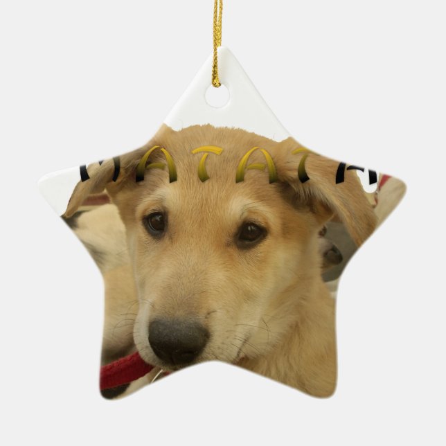 "Hakuna Matata Pup" – Worry-Free Puppy Love Ceramic Ornament (Front)