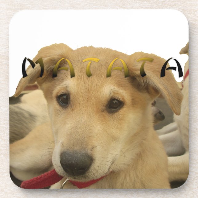 "Hakuna Matata Pup" – Worry-Free Puppy Love Drink Coaster (Front)