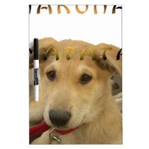 "Hakuna Matata Pup" – Worry-Free Puppy Love Dry-Erase Board