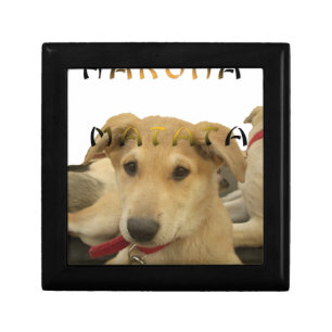 "Hakuna Matata Pup" – Worry-Free Puppy Love Jewelry Box