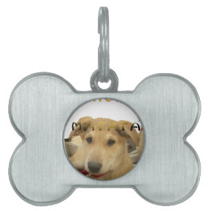 "Hakuna Matata Pup" – Worry-Free Puppy Love Pet ID Tag