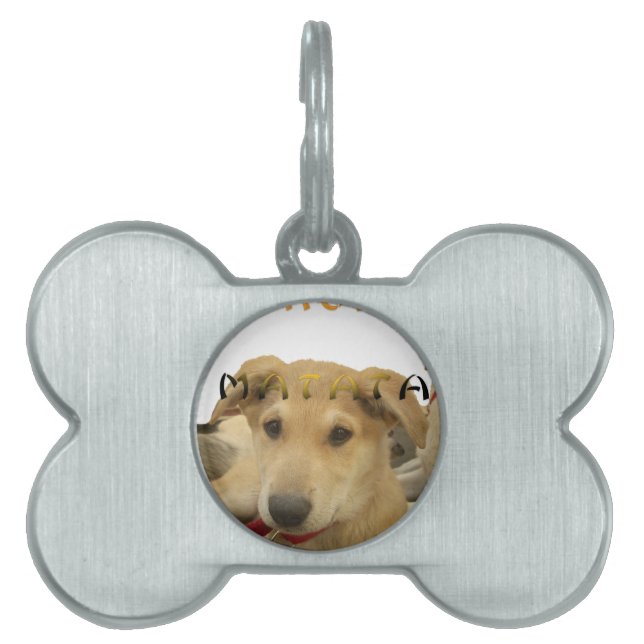 "Hakuna Matata Pup" – Worry-Free Puppy Love Pet ID Tag (Front)