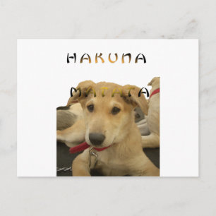"Hakuna Matata Pup" – Worry-Free Puppy Love Postcard