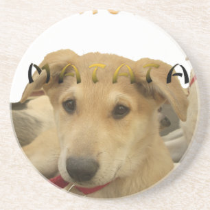 "Hakuna Matata Pup" – Worry-Free Puppy Love Sandstone Coaster