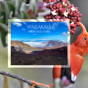 Haleakala Crater, Summit, Haleakala National Park Postcard
